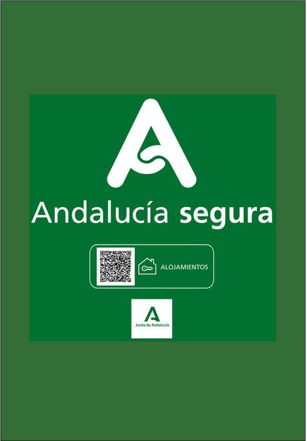 Holidays2Malaga Junto Catedral Apartment Exterior photo